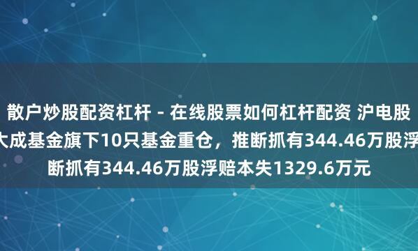 散户炒股配资杠杆 - 在线股票如何杠杆配资 沪电股份股价跌5.06%，大成基金旗下10只基金重仓，推断抓有344.46万股浮赔本失1329.6万元